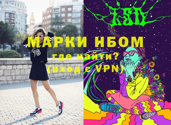 ПСИЛОЦИБИНОВЫЕ ГРИБЫ Арсеньев