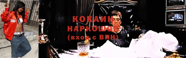 PSILOCYBIN Покров