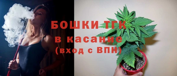 ПСИЛОЦИБИНОВЫЕ ГРИБЫ Арсеньев
