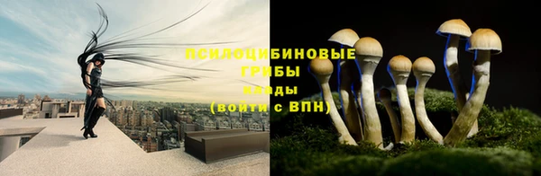 ПСИЛОЦИБИНОВЫЕ ГРИБЫ Арсеньев