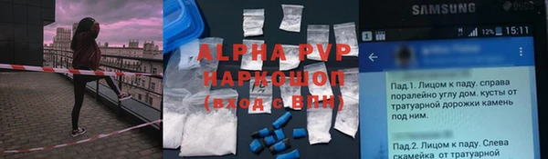 ПСИЛОЦИБИНОВЫЕ ГРИБЫ Арсеньев