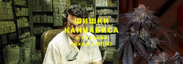 ПСИЛОЦИБИНОВЫЕ ГРИБЫ Арсеньев